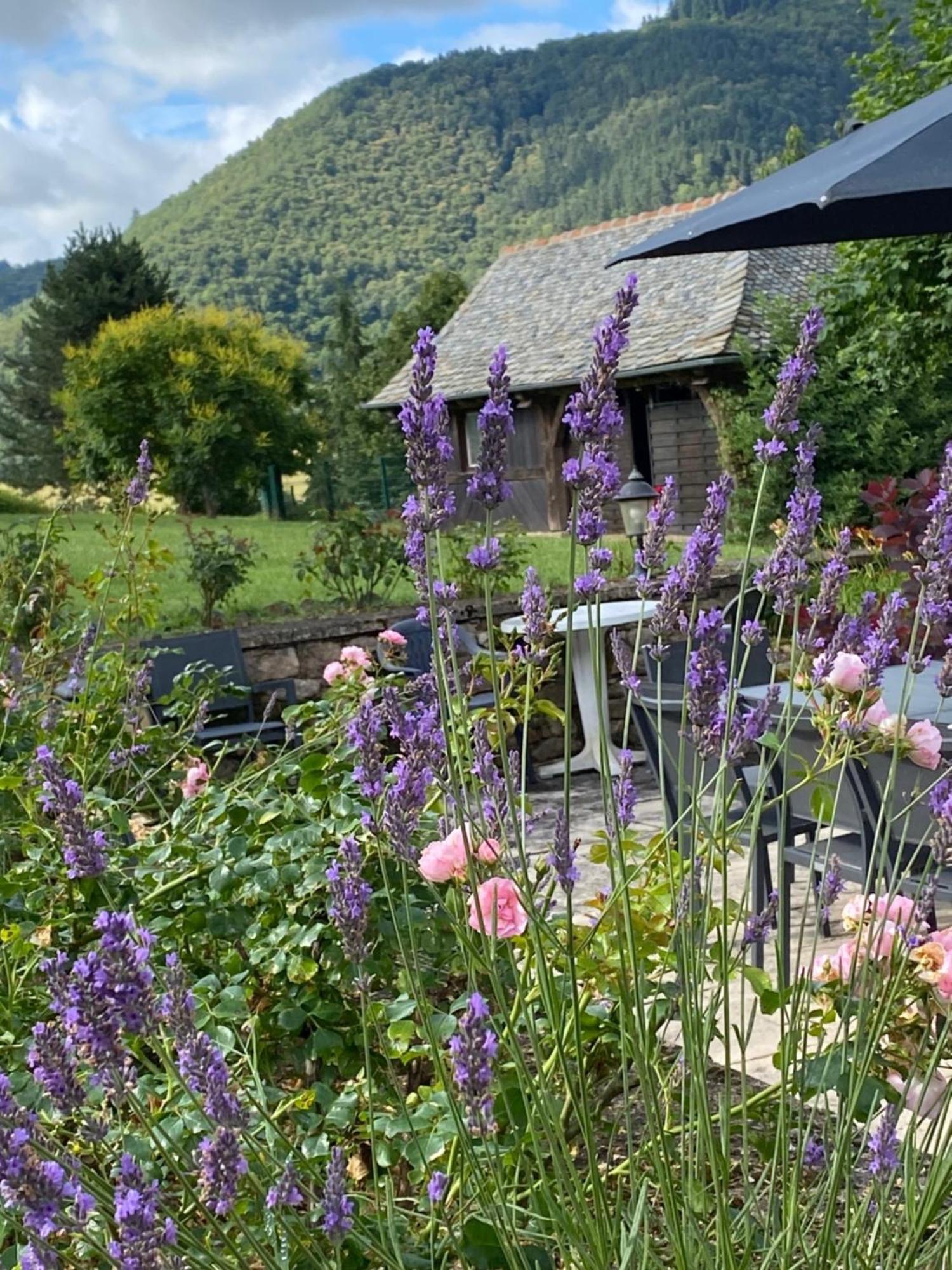 Le Clos St Georges Hotell Entraygues-sur-Truyère Exteriör bild